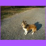 Belle Watching Sunset.jpg